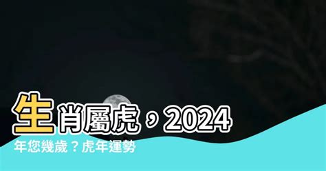 屬豬2024|2024屬豬幾歲、2024屬豬運勢、屬豬幸運色、財位、禁忌